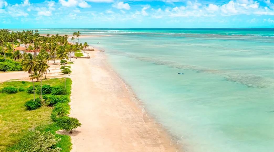 Vista aérea da Praia de Ponta de Mangue, mostrando sua extensa faixa de areia clara, a orla repleta de coqueiros e pousadas, e o mar calmo e raso da maré baixa, com águas em tons de verde e azul.