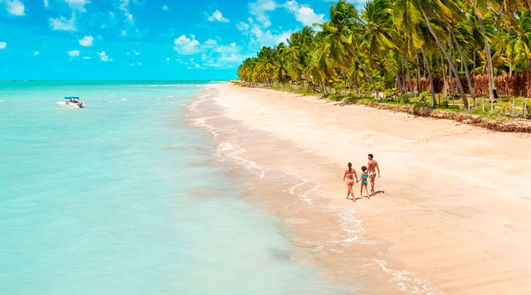 Vista aérea da Praia de Xaréu mostrando uma família caminhando na faixa de areia, que é ladeada por um denso coqueiral à direita e pelo mar calmo de cor azul-turquesa claro à esquerda, sob um céu azul com nuvens.