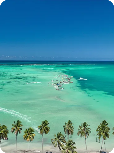 Vista aérea da Praia de Barra Grande com águas rasas em tons de azul e verde, barcos espalhados, vegetação tropical no canto inferior e céu azul profundo sem nenhuma nuvem.