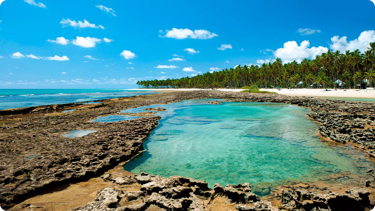 Vista tropical da Praia de Carneiros com águas turquesa, formações rochosas pra fora d'água, faixa de areia e coqueiros ao fundo