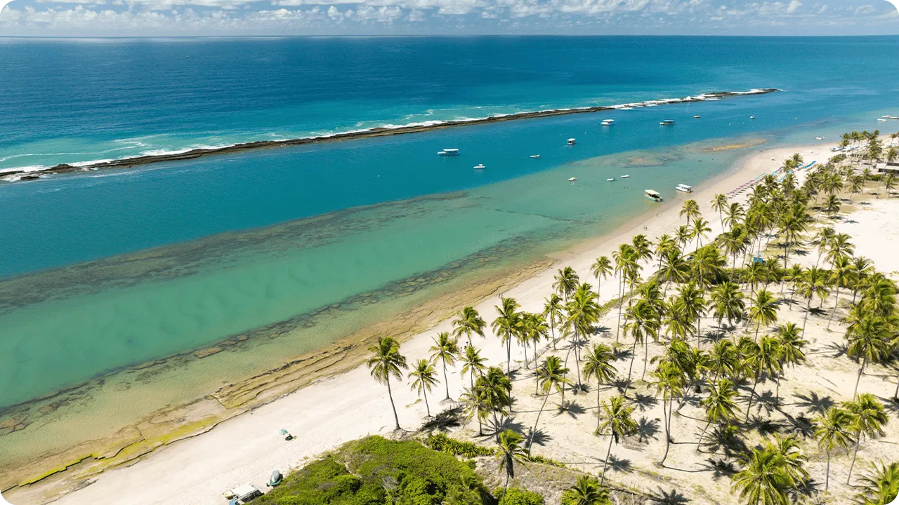 Vista aérea da Praia do Francês com mar turquesa, praticamente um degradê de azuis, faixa de areia extensa, coqueiros e barquinhos próximos aos recifes de corais.