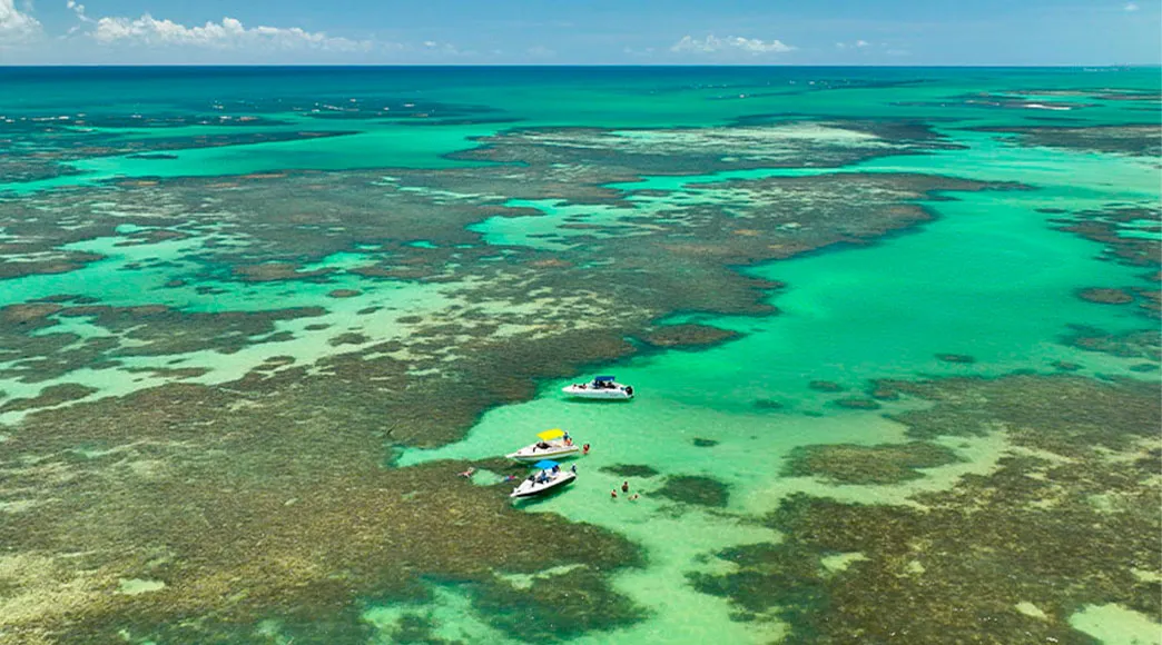 Vista aérea das extensas piscinas naturais de Paripueira, mostrando os recifes de corais que formam um mosaico sob a água cristalina. Barcos de passeio estão ancorados na água de cor verde-turquesa.