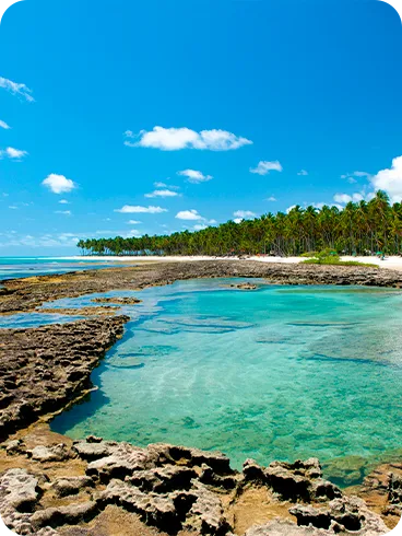 Vista tropical da Praia de Carneiros com águas turquesa, formações rochosas pra fora d'água, faixa de areia e coqueiros ao fundo