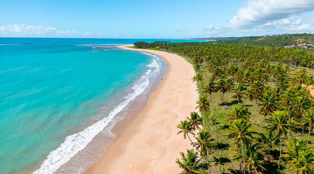 Vista aérea da Praia de Ipioca, com sua longa e curva faixa de areia ladeada pelo mar azul-turquesa de um lado e por um coqueiral imenso e denso do outro.