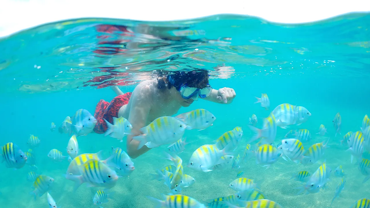Criança com máscara de mergulho observando peixes coloridos no mar cristalino