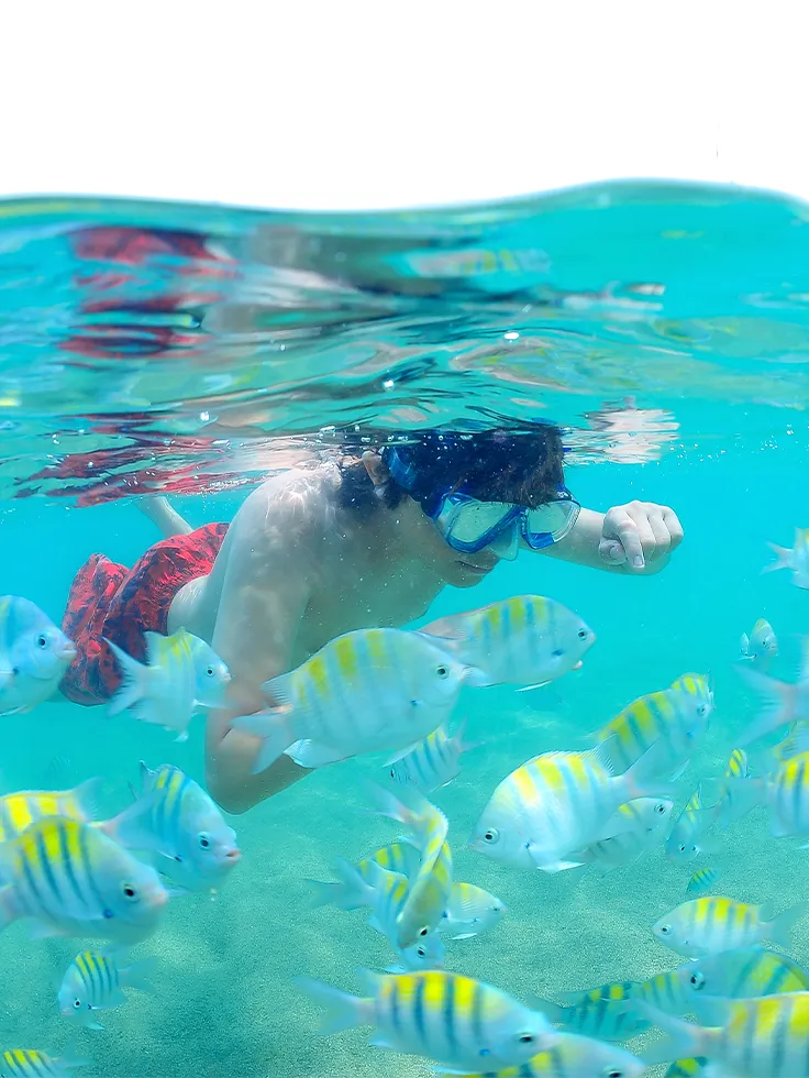 Criança com máscara de mergulho observando peixes coloridos no mar cristalino