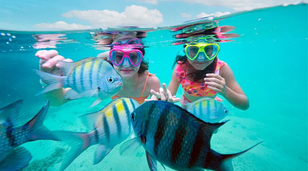 Duas meninas usando máscaras de snorkel mergulham em piscinas naturais de água cristalina e interagem com vários peixes sargentinho listrados que nadam ao seu redor, com a câmera posicionada metade dentro e metade fora da água.