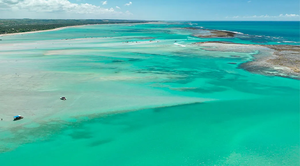 Ampla vista aérea da Praia de Xaréu na maré baixa, mostrando a imensidão das piscinas naturais com a água em vários tons de azul-turquesa e verde, revelando bancos de areia e recifes, com a faixa de coqueiros da orla ao fundo.
