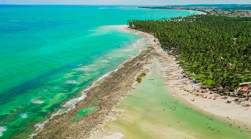 Vista aérea da Praia dos Carneiros na maré baixa, mostrando a barreira de recifes que forma piscinas naturais. A faixa de areia está movimentada com banhistas e guarda-sóis, e é ladeada por um denso coqueiral.