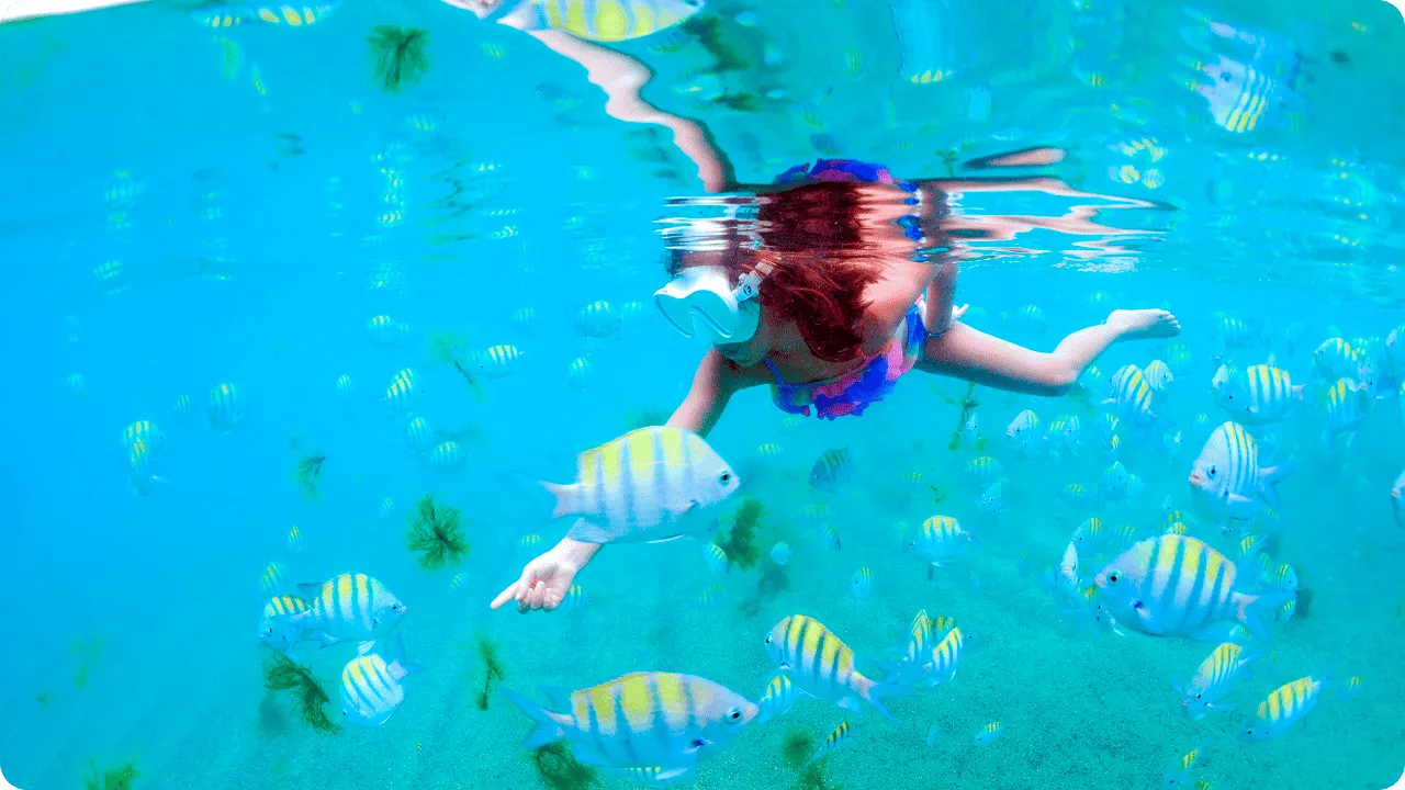 Criança com máscara de mergulho observando peixes coloridos no mar cristalino