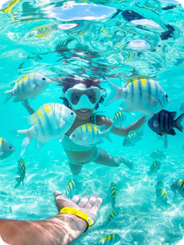 Criança mergulhando com máscara de snorkel entre peixes coloridos em águas transparentes