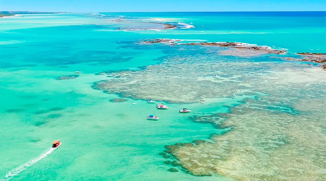 Vista aérea das piscinas naturais de Barra Grande, com vários barcos de turismo ancorados próximos aos recifes de corais. Turistas aproveitam a água rasa e cristalina, que tem tons de verde e azul-turquesa, com a orla da praia ao fundo.