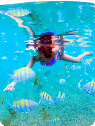 Criança com máscara de mergulho observando peixes coloridos no mar cristalino