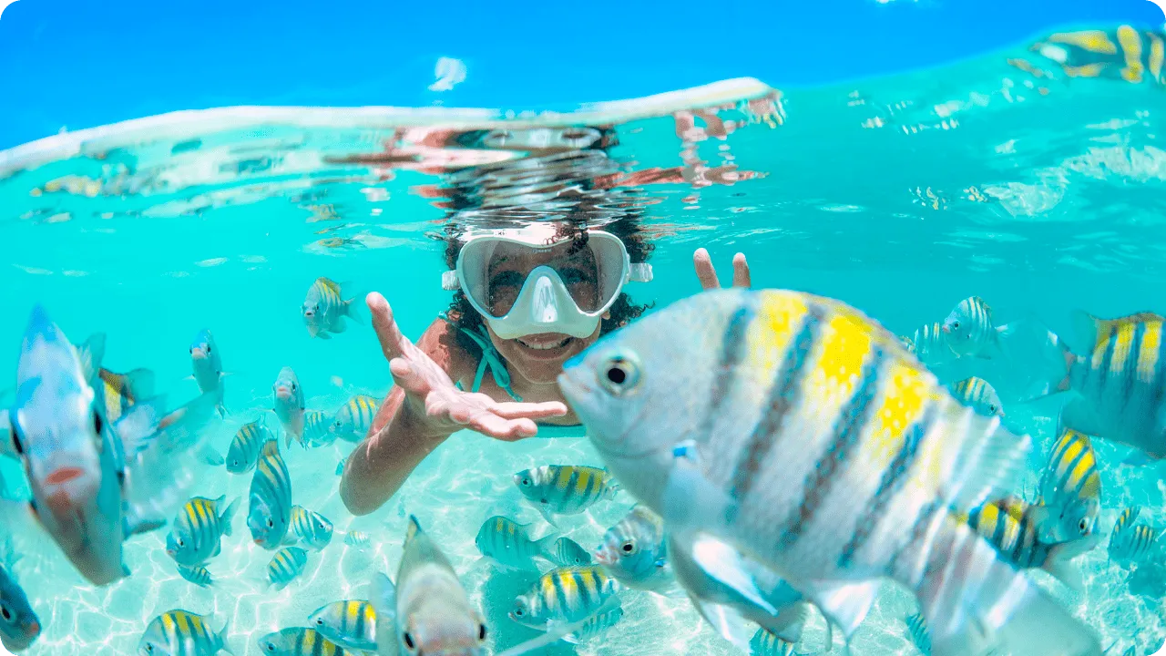 Criança mergulhando com máscara de snorkel entre peixes coloridos em águas transparentes