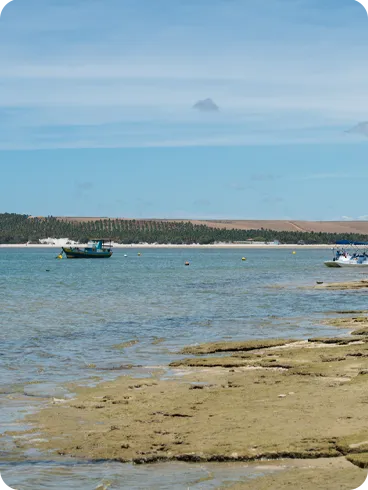 Barreira de corais e águas tranquilas na Praia da Barra de São Miguel, em Alagoas.