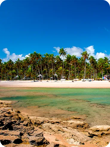 Praia de Carneiros com céu azul, mar raso e cristalino, formações rochosas e coqueiros ao fundo com