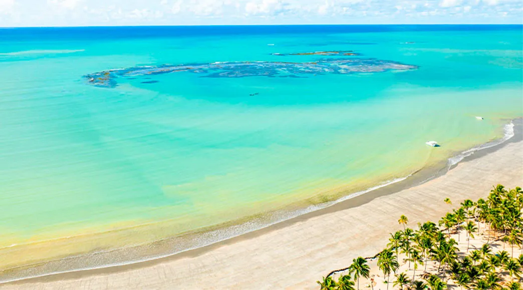 Vista aérea da Praia de Paripueira, mostrando a larga faixa de areia margeada por coqueiros e o mar calmo e raso de cor verde-água. Ao fundo, as piscinas naturais formadas por recifes são visíveis.