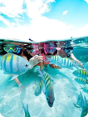 Family snorkeling and exploring marine life at Salinas Maragogi