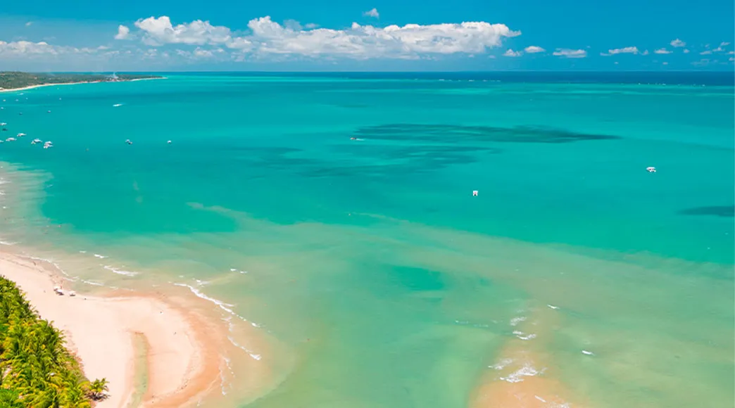 Vista aérea da praia de Maragogi, com águas cristalinas e céu azul, mostrando a areia e o litoral.