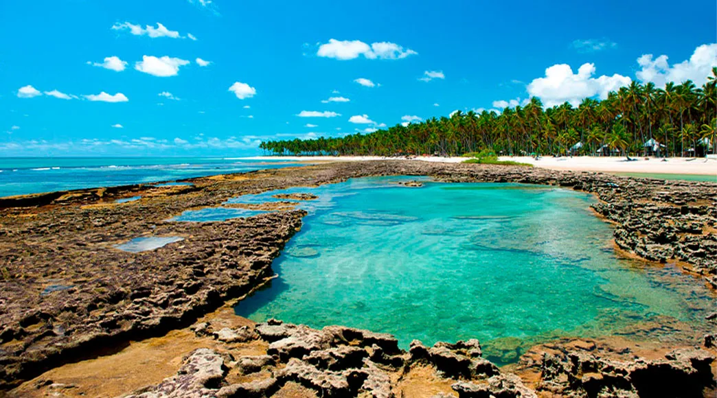 Piscina natural de água cristalina formada entre os recifes escuros da Praia dos Carneiros na maré baixa. Ao fundo, a praia de areia branca é emoldurada por um extenso coqueiral sob um céu azul.
