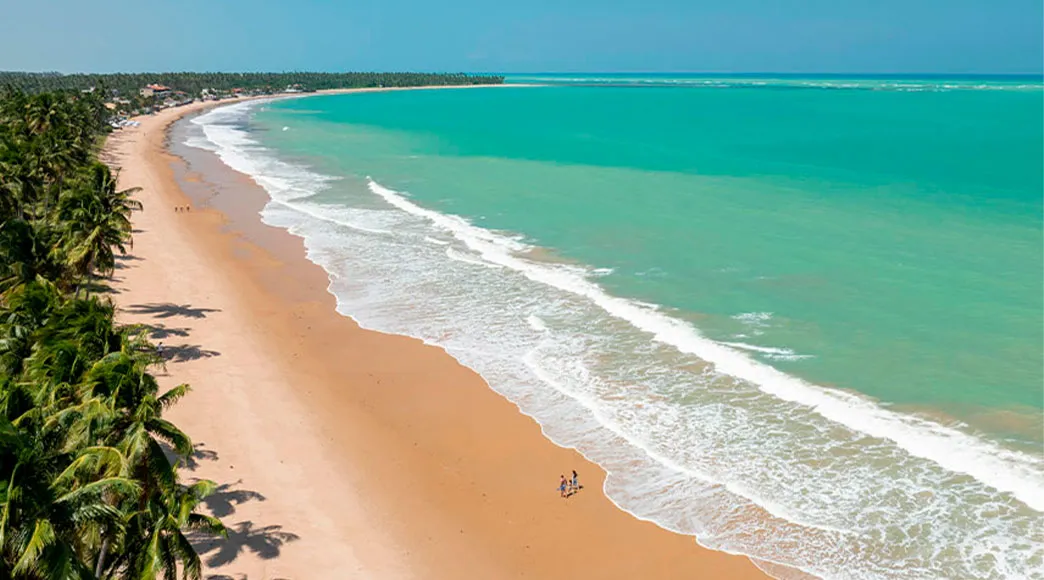 Vista aérea da extensa e curva Praia de Ipioca, com o mar de cor verde-turquesa e suas ondas de um lado, e um imenso coqueiral do outro, margeando toda a faixa de areia.