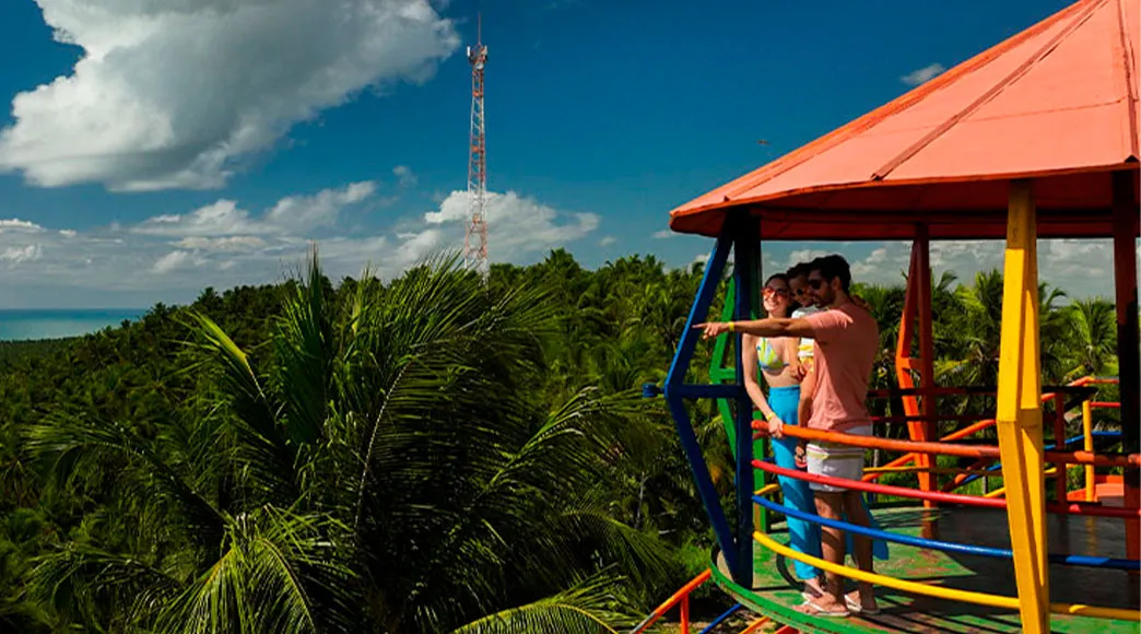 Casal no Mirante do Gunga observando a vista panorâmica de um imenso coqueiral. O mar é visível à distância, além do mar de coqueiros, sob um céu azul.