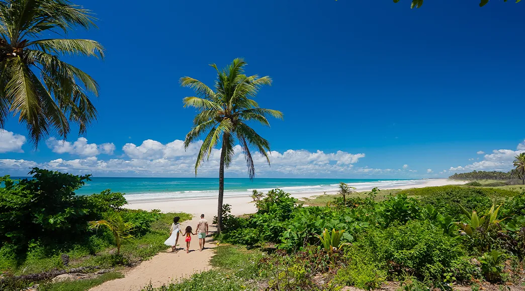 Família caminha em direção a Praia do Francês, por trilha de areia entre vegeteção bem verde. A praia ao fundo esta com ondas leves e mar bem azul, o céu tem poucas nuvens.