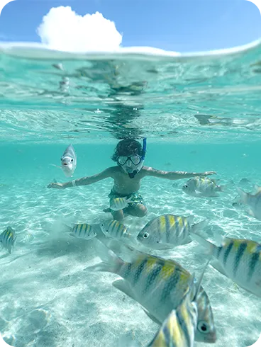 Criança praticando snorkel em águas tropicais cristalinas, cercada por peixes coloridos com listras amarelas e pretas