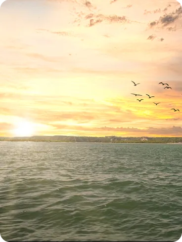 Pôr do sol sobre o mar com aves em voo e costa tropical ao fundo.