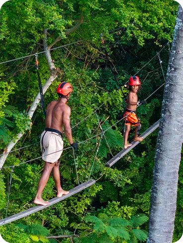 Father and son practicing tree climbing on a suspension bridge between trees at Salinas Maragogi All Inclusive Resort.
