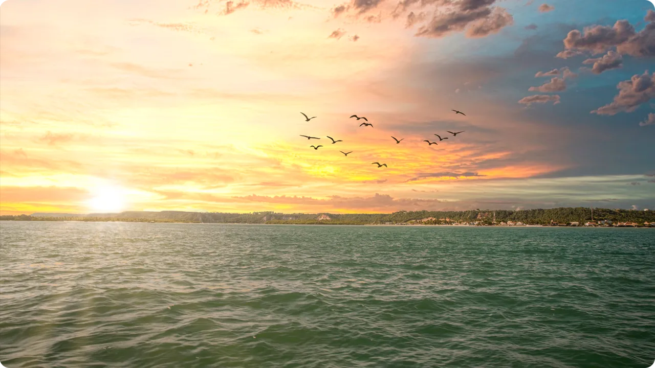 Pôr do sol sobre o mar com aves em voo e costa tropical ao fundo.
