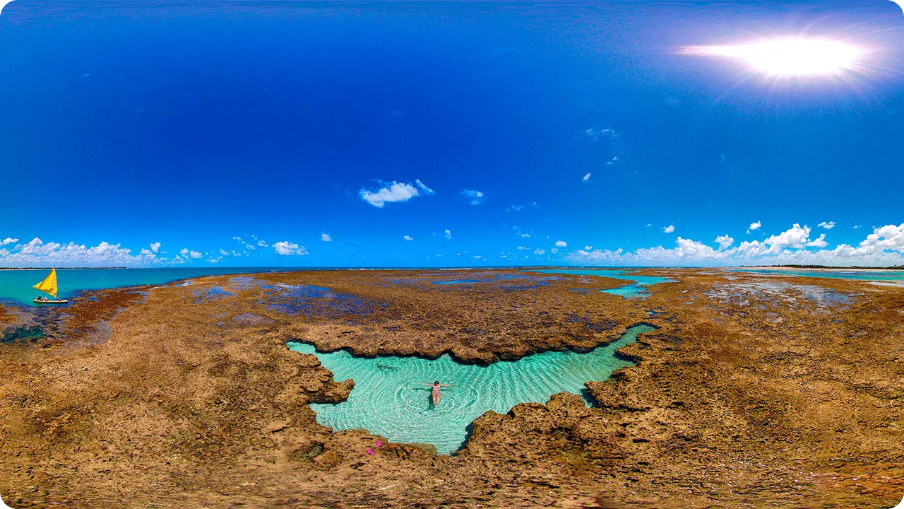 Piscinas naturais reveladas na maré baixa criam um cenário quase surreal em Porto de Galinhas. Em meio aos recifes, uma experiência exclusiva de conexão com a natureza