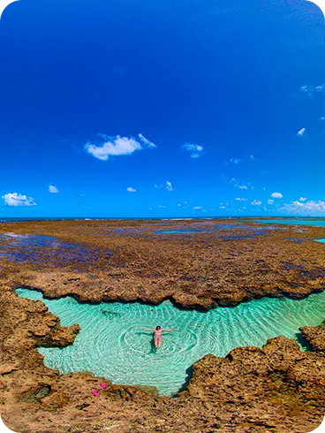 Piscinas naturais reveladas na maré baixa criam um cenário quase surreal em Porto de Galinhas. Em meio aos recifes, uma experiência exclusiva de conexão com a natureza