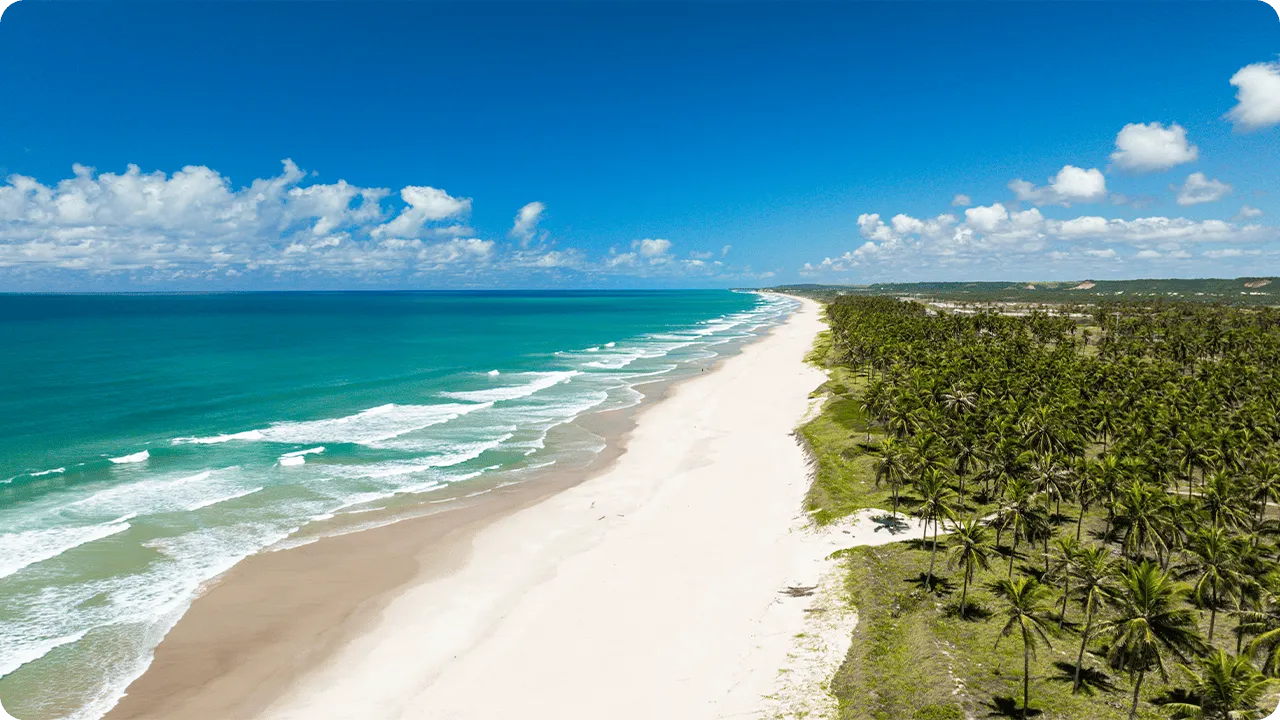 Vista aérea de la playa de Ipioca en Maceió, que muestra la extensa y extensa franja de arena blanca, el mar verde y azul con olas, y un denso cocotal que bordea toda la costa bajo un cielo azul.