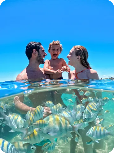 Família com criança aproveitando banho de mar entre peixes coloridos