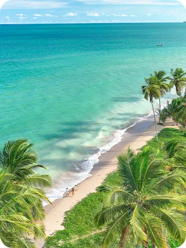 Vista aérea de una playa en Alagoas, que muestra el mar verde esmeralda, la arena clara y un extenso cocotal. Dos personas caminan solas por la playa, realzando la atmósfera de paz y naturaleza virgen.