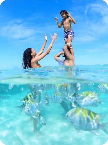 Família aproveitando o mar cristalino com peixes coloridos enquanto brincam juntos na água.