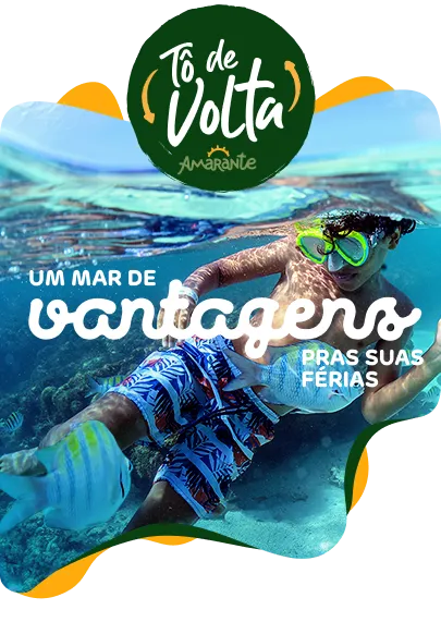 Banner Programa To de Volta