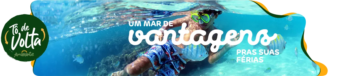 Banner Programa To de Volta
