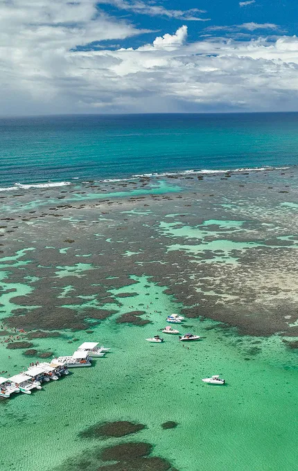 Vista aérea das piscinas naturais de Maragogi com águas cristalinas e recifes de corais visíveis