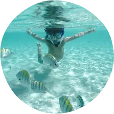 Uma criança praticando snorkel em mar cristalino cercada por peixes tropicais coloridos, com fundo de areia iluminado pelo sol e superfície visível acima.