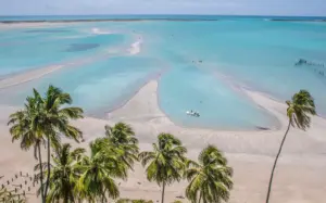 7 dicas do que fazer em Maragogi