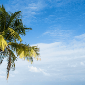 Conheça as melhores praias de Maragogi