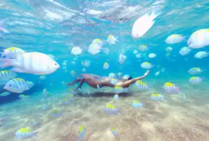 Mergulho em Maceió: confira as melhores dicas pra viver essa aventura embaixo d’água