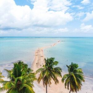 Caminho de Moisés em Maragogi: o famoso banco de areia da região