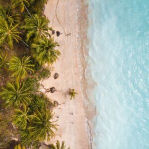 Praia de Salinas Maragogi: seu guia completo de viagem