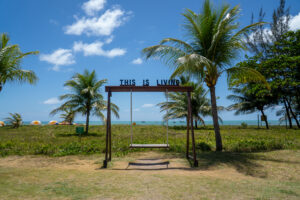 Balanço instagramável no Salinas Maragogi. Com o mar ao fundo e cercado por grama e coqueiros.