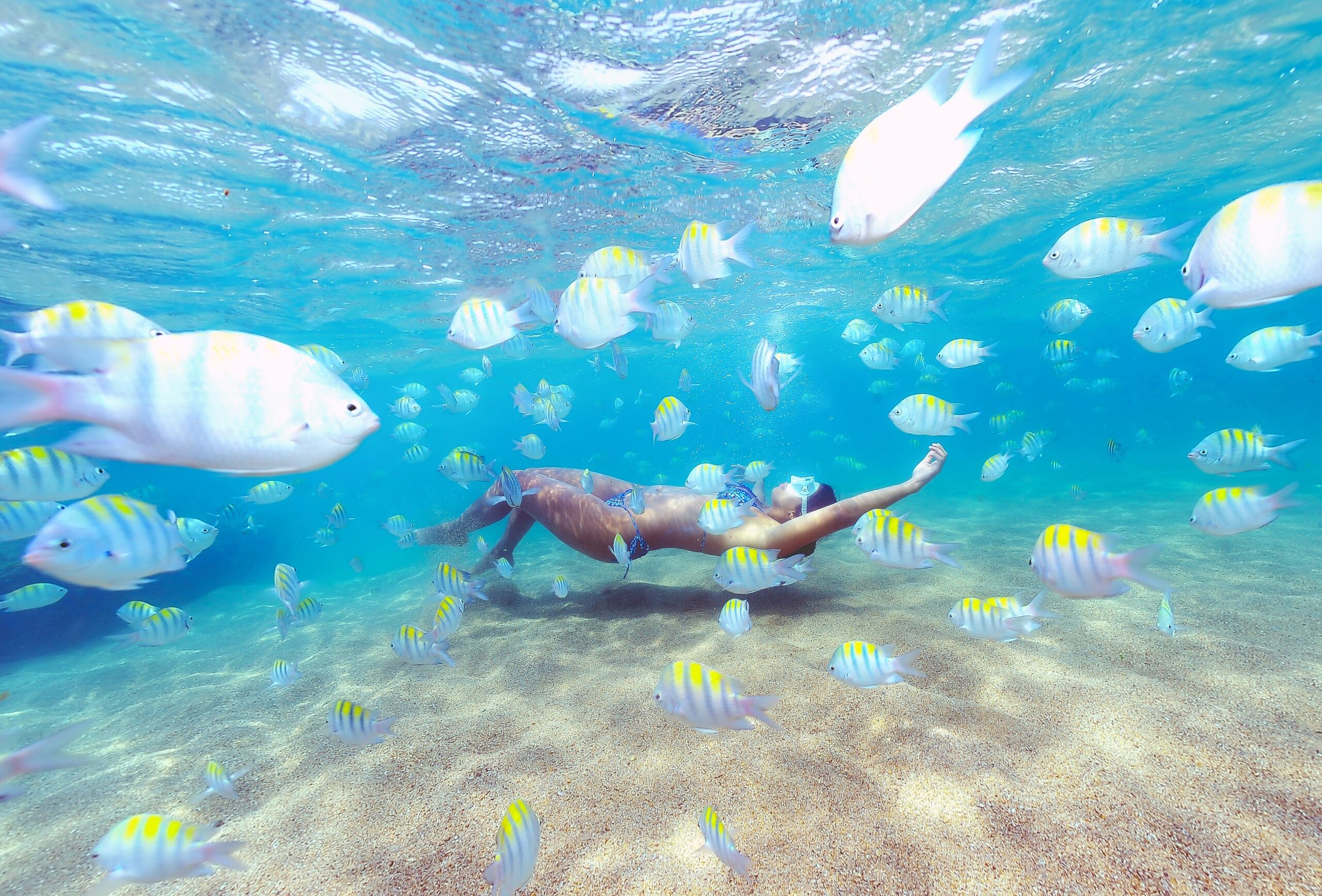 Mulher fazendo mergulho em Maceió nas piscinas naturais, rodeada de peixes.