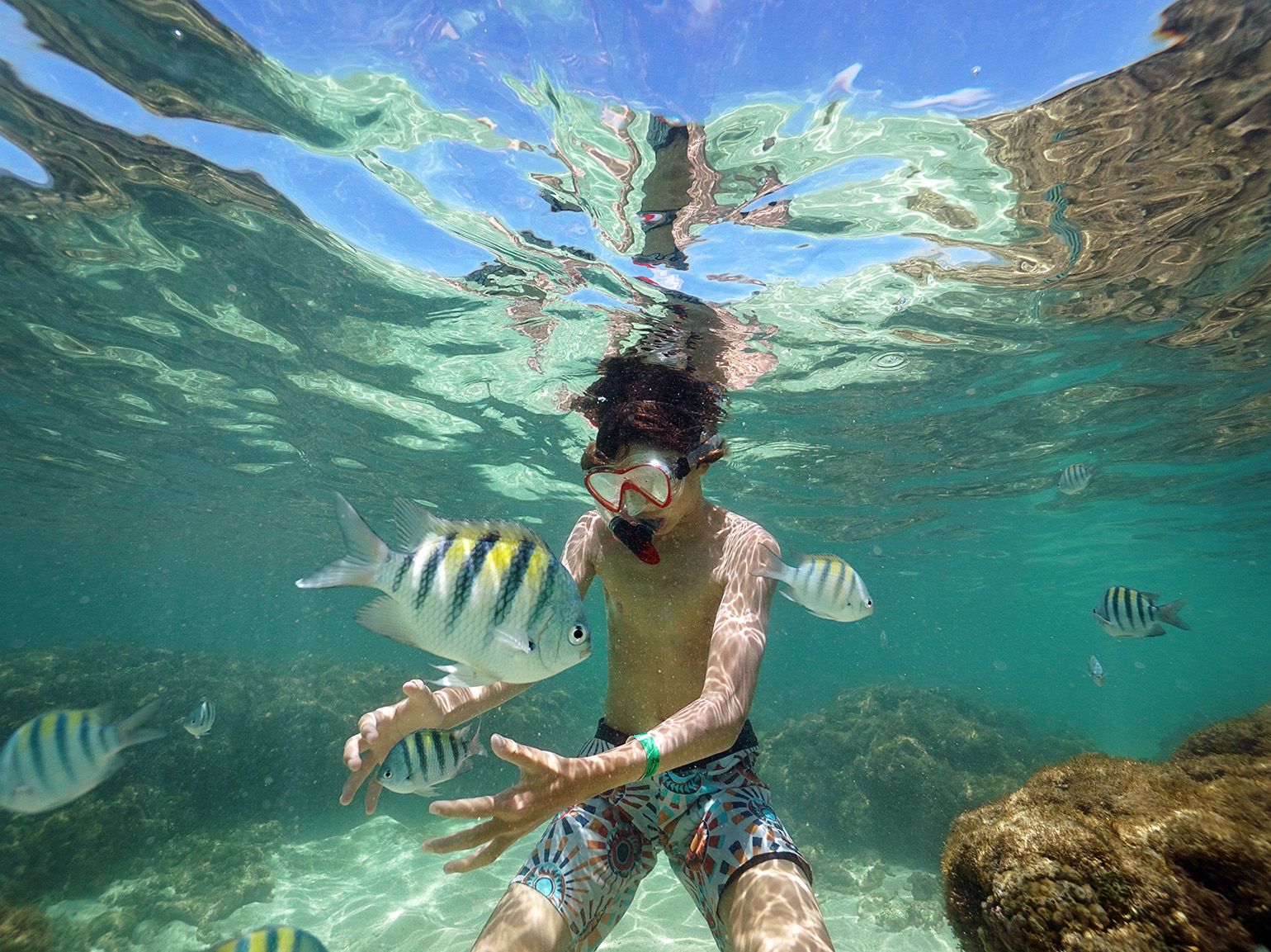 Menino praticando mergulho de snorkel nas Galés de Maragogi.