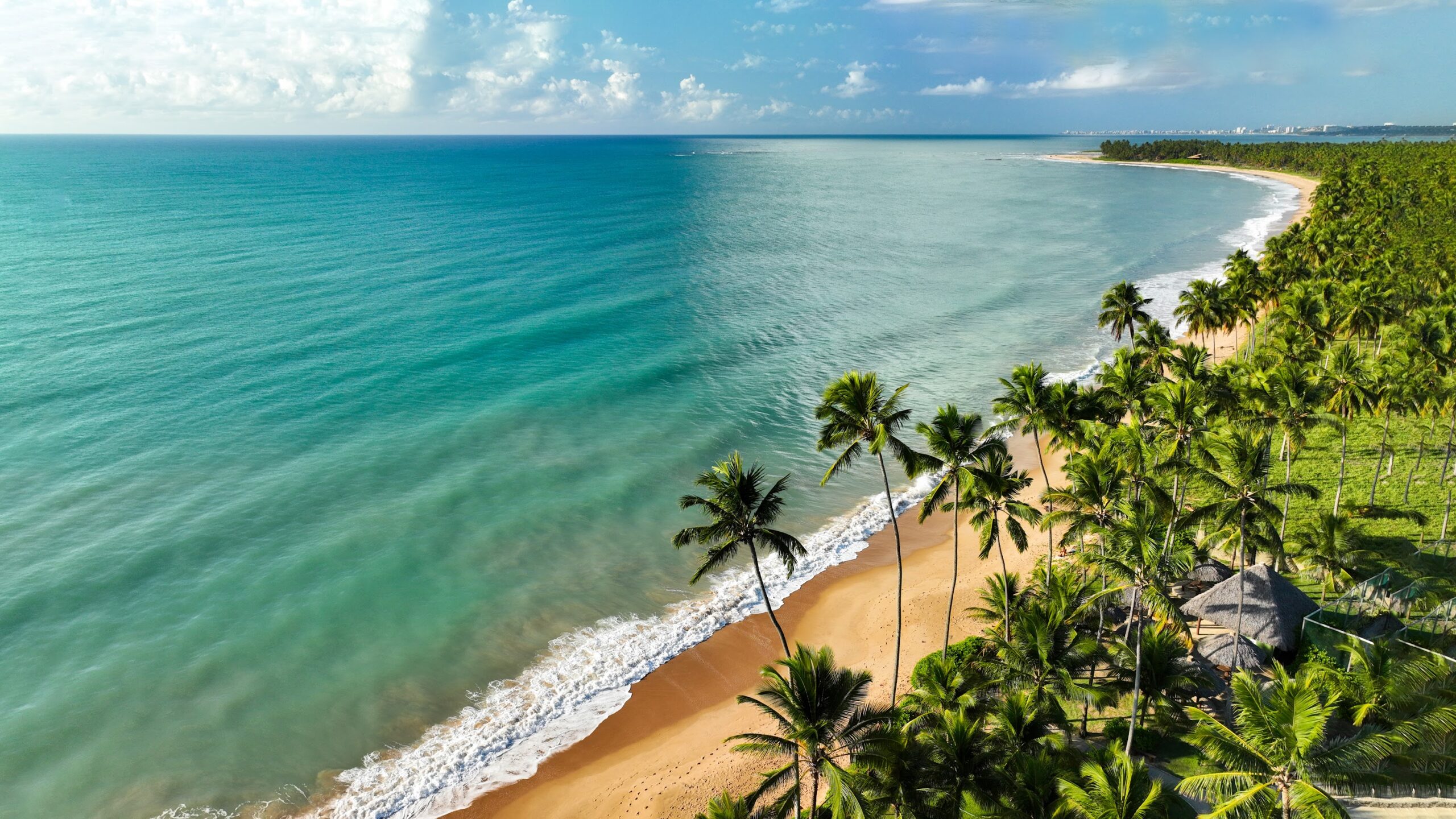 Vista aérea da Praia de Ipioca, com vasta vegetação de coqueirais, faixa de areia branquinha e mar azul ao fundo.